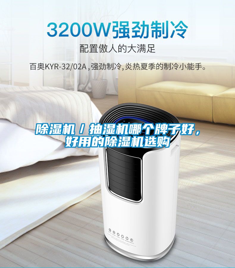 除濕機(jī)／抽濕機(jī)哪個(gè)牌子好，好用的除濕機(jī)選購