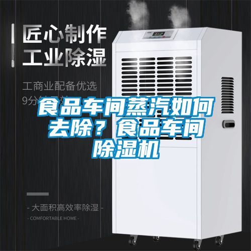 食品車間蒸汽如何去除？食品車間除濕機