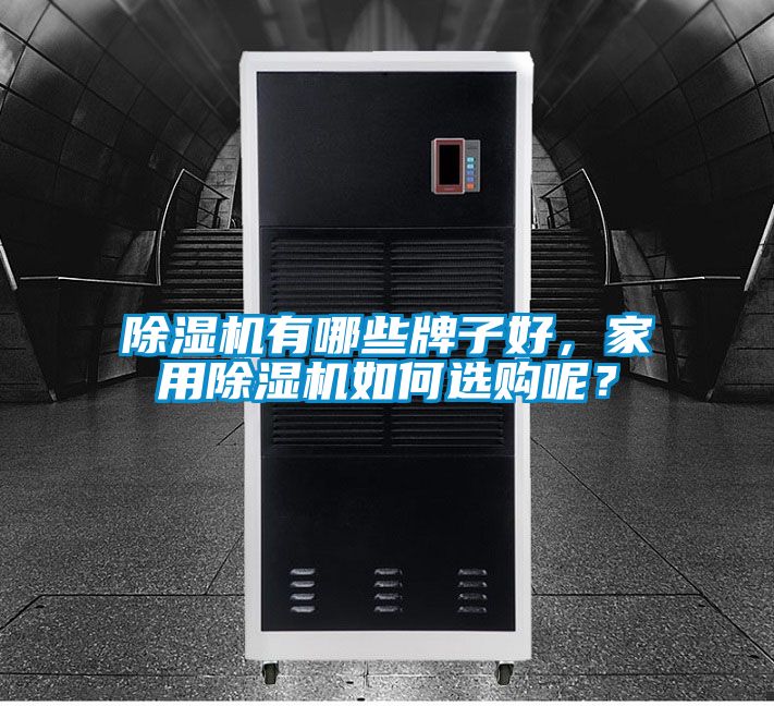 除濕機(jī)有哪些牌子好，家用除濕機(jī)如何選購呢？