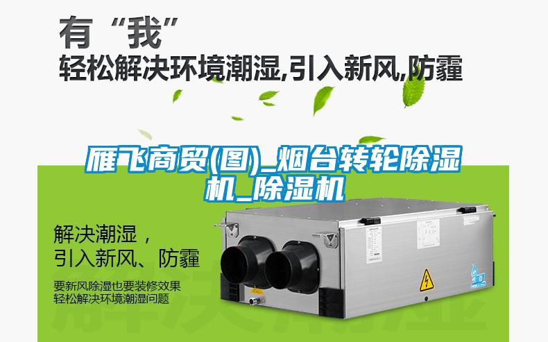 雁飛商貿(mào)(圖)_煙臺轉(zhuǎn)輪除濕機(jī)_除濕機(jī)