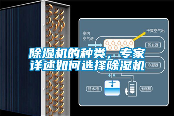 除濕機的種類，專家詳述如何選擇除濕機