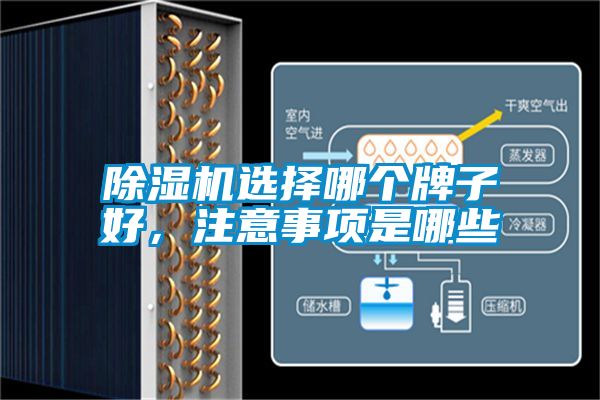 除濕機(jī)選擇哪個(gè)牌子好，注意事項(xiàng)是哪些