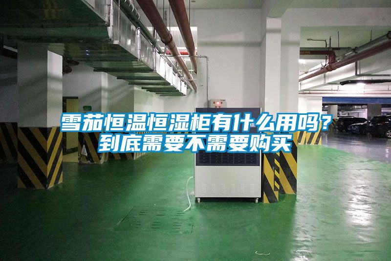雪茄恒溫恒濕柜有什么用嗎？到底需要不需要購買