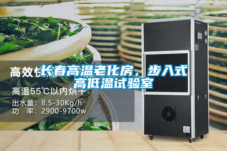 長(zhǎng)春高溫老化房，步入式高低溫試驗(yàn)室