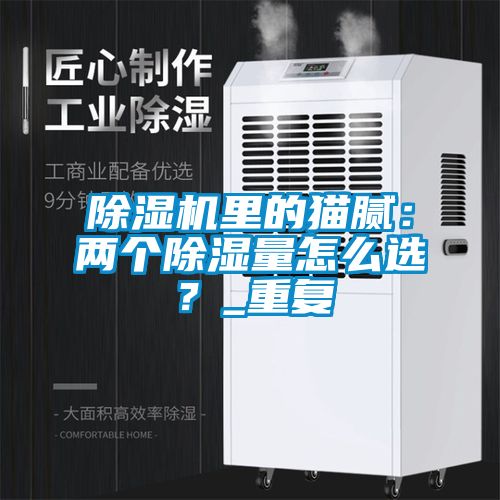 除濕機里的貓膩：兩個除濕量怎么選？_重復