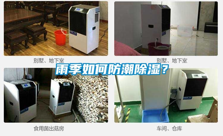 雨季如何防潮除濕？