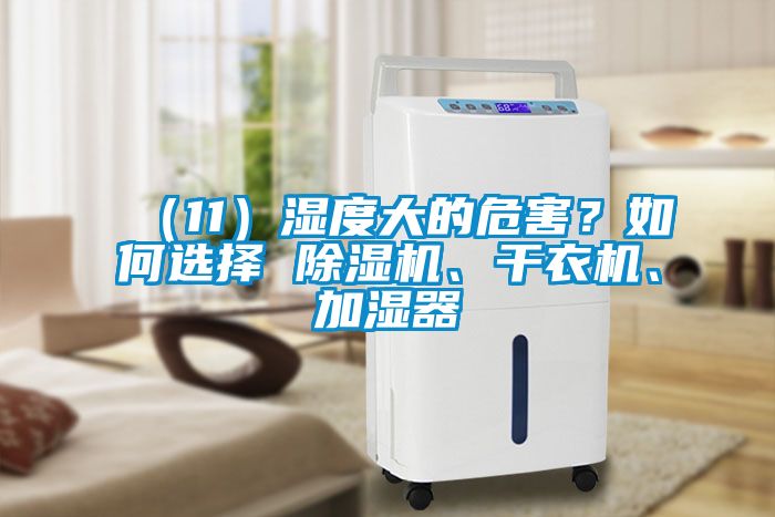 （11）濕度大的危害？如何選擇 除濕機(jī)、干衣機(jī)、加濕器