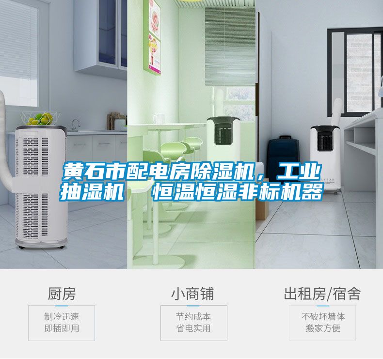 黃石市配電房除濕機，工業(yè)抽濕機  恒溫恒濕非標(biāo)機器