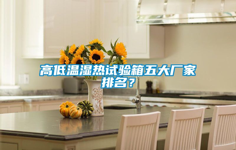 高低溫濕熱試驗箱五大廠家排名？