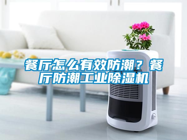 餐廳怎么有效防潮？餐廳防潮工業(yè)除濕機