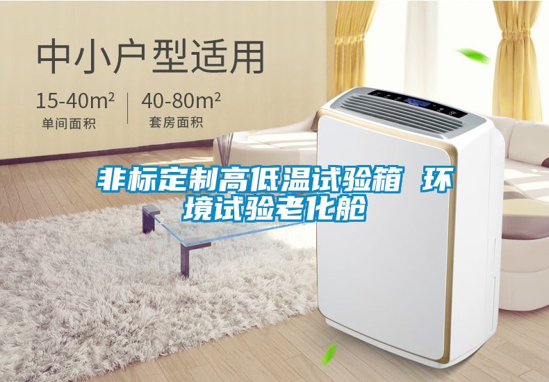 非標定制高低溫試驗箱 環(huán)境試驗老化艙