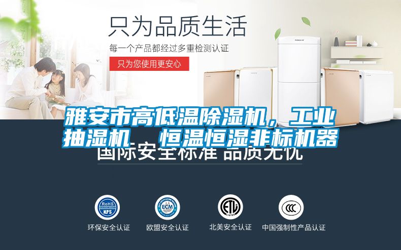 雅安市高低溫除濕機(jī)，工業(yè)抽濕機(jī)  恒溫恒濕非標(biāo)機(jī)器