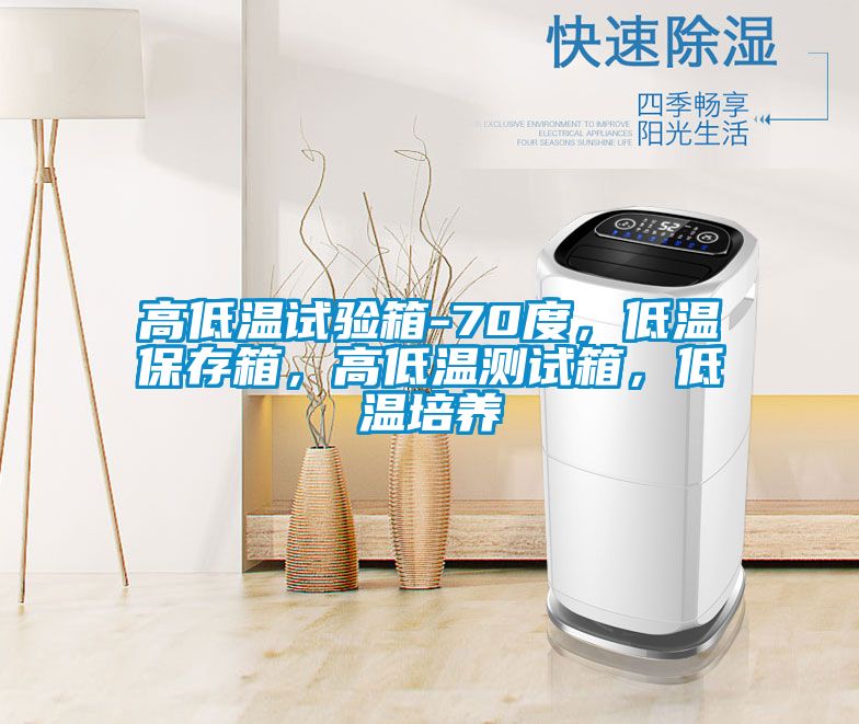 高低溫試驗(yàn)箱-70度，低溫保存箱，高低溫測(cè)試箱，低溫培養(yǎng)