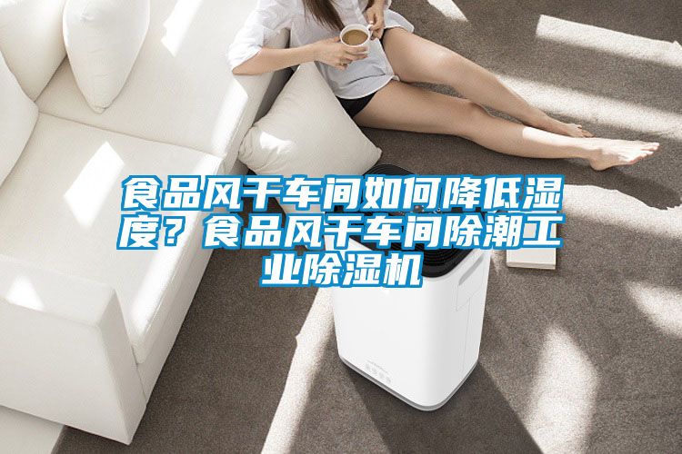 食品風(fēng)干車間如何降低濕度？食品風(fēng)干車間除潮工業(yè)除濕機