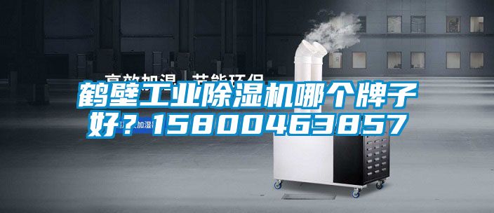 鶴壁工業(yè)除濕機(jī)哪個(gè)牌子好？15800463857